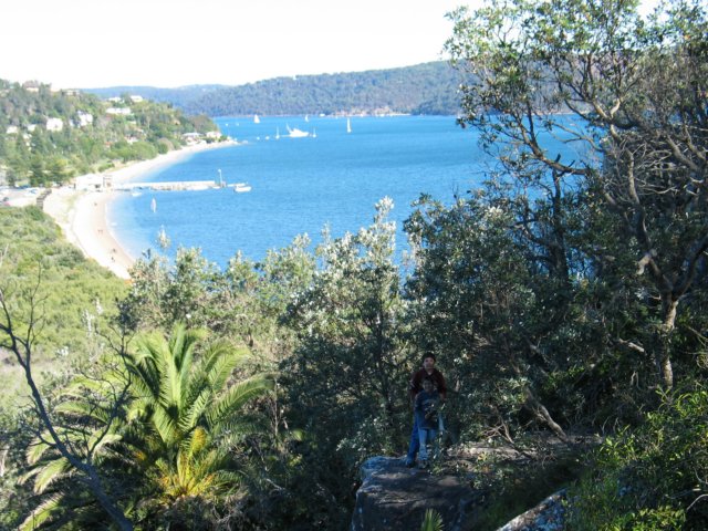 Photograph