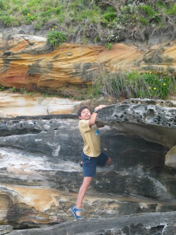 Photograph