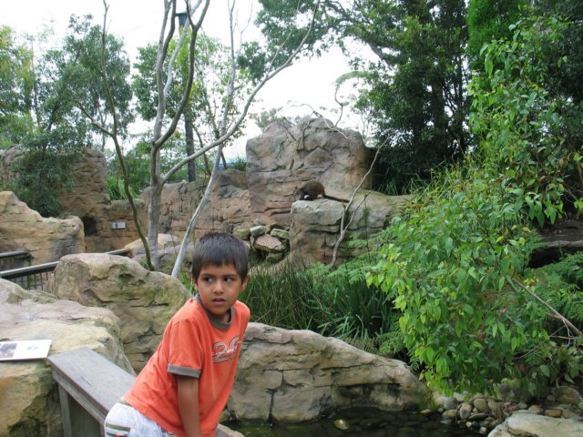 Photograph